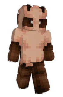 Front of kaycicle's skin