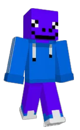 binxk's Minecraft skin wearing the Common cape