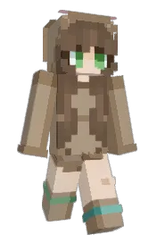Skin preview