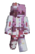 raspivel