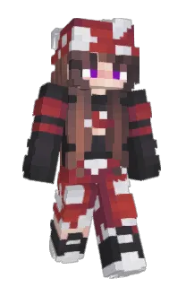 Front of FbCi's skin