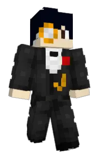 Front of paacket's skin