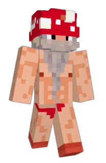 Front of M_C_G_A's skin