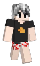 Minecraft skin — Classic model