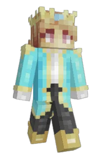 Front of Rynfinity's skin