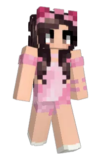 Front of Oink64's skin