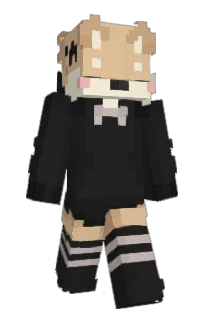 Front of narpy's skin
