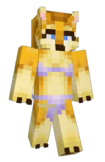 Front of Minecraft skin