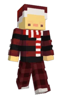 Front of IdeAg's skin