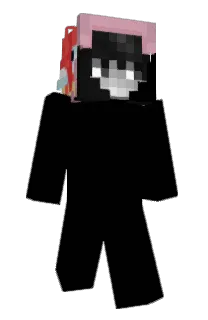 Front of Tenv's skin