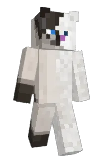 Front of Adtendo's skin