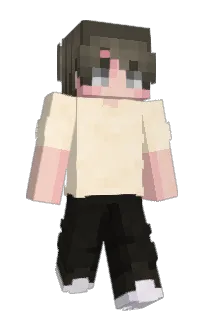 Front of Bastic's skin
