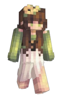 Front of Minecraft skin
