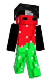 Skin preview