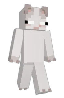 Front of gomeomi's skin