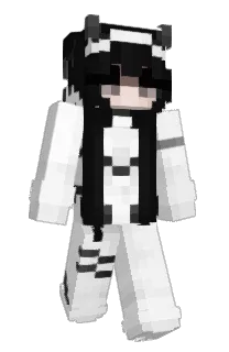 Front of VaIlkya's skin