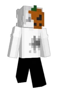 Front of aewp's skin