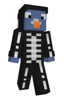 Front of Minecraft skin