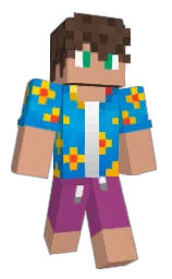 Slim Minecraft skin