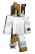 CatNine9