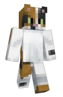 Front of CatNine9's skin