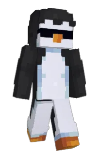 Front of Envixx_123's skin