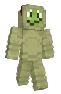 Front of AntiDraws's skin