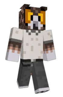 Front of Strix8664's skin