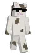 LilWiseCat