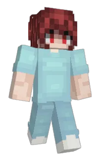 Front of 10apg's skin