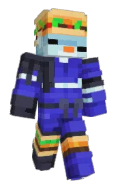Skin preview