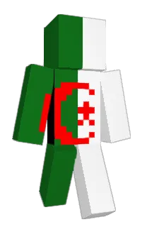 Front of DES11GNER's skin