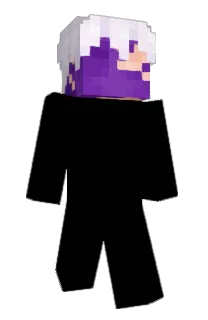 Front of ZethrusTV's skin