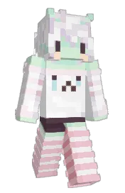 Skin preview