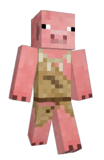 Front of Minecraft skin