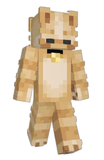 Front of Minecraft skin