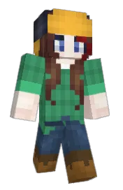 Skin preview