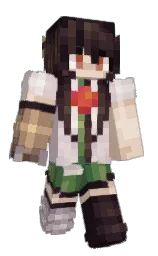 Minecraft skin — Classic model