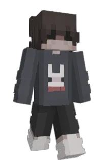 Front of VAA2's skin