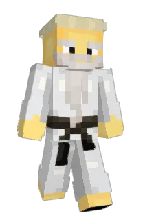 hqus's Minecraft skin