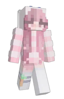 Front of sskt's skin