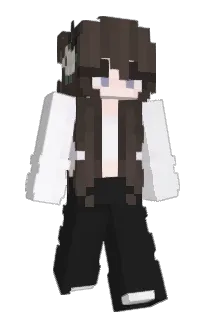 Front of Plamkaa's skin