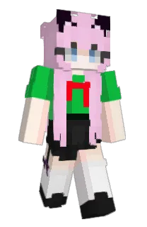 Front of Samprix's skin