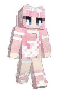 Front of cocococat's skin