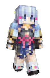 Skin preview