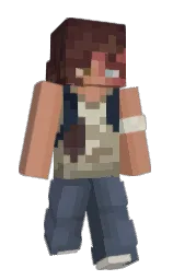 Minecraft skin — Classic model