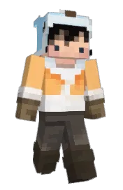 Skin preview