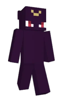 Front of wst's skin