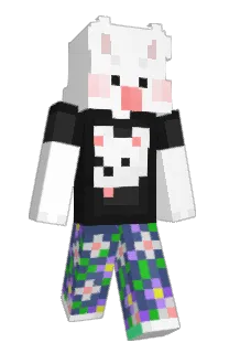Front of Mini_0715's skin