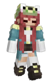 Skin preview